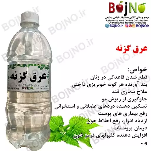 عرق گزنه سنتی بجنو (آب چشمه)