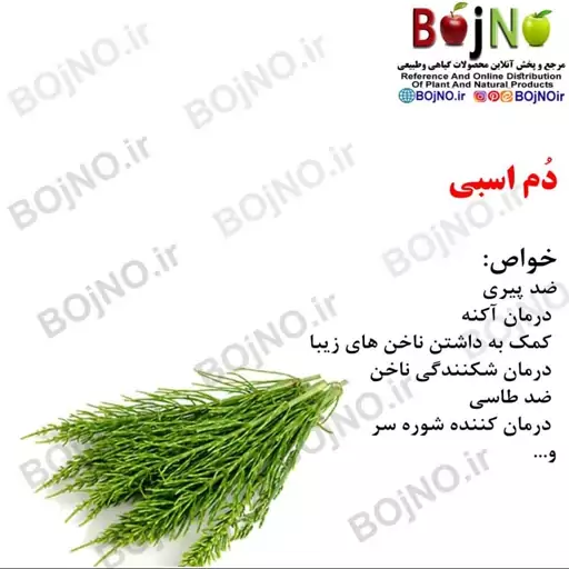 دُم اسبی(بسته 50گرمی)