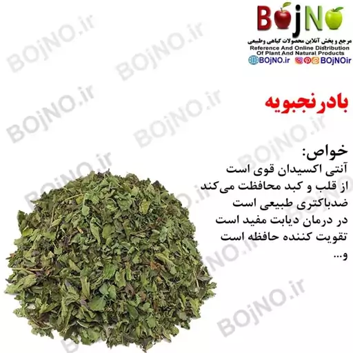 بادرنجبویه 100 گرمی