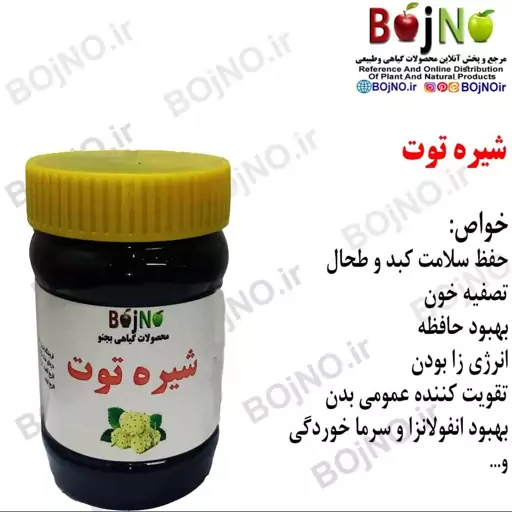 شیره توت (یک کیلویی) بجنو