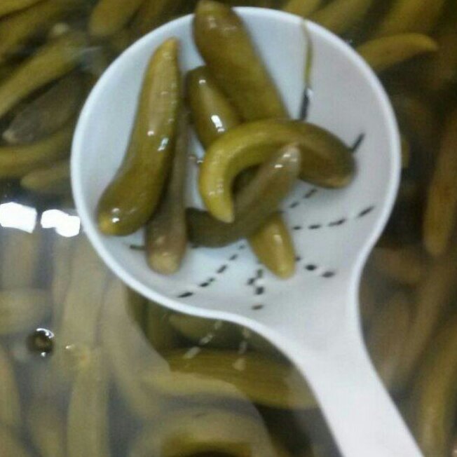 خیار شور خانگی تهیه شده با سرکه ونمک(25000) گرم خیار 