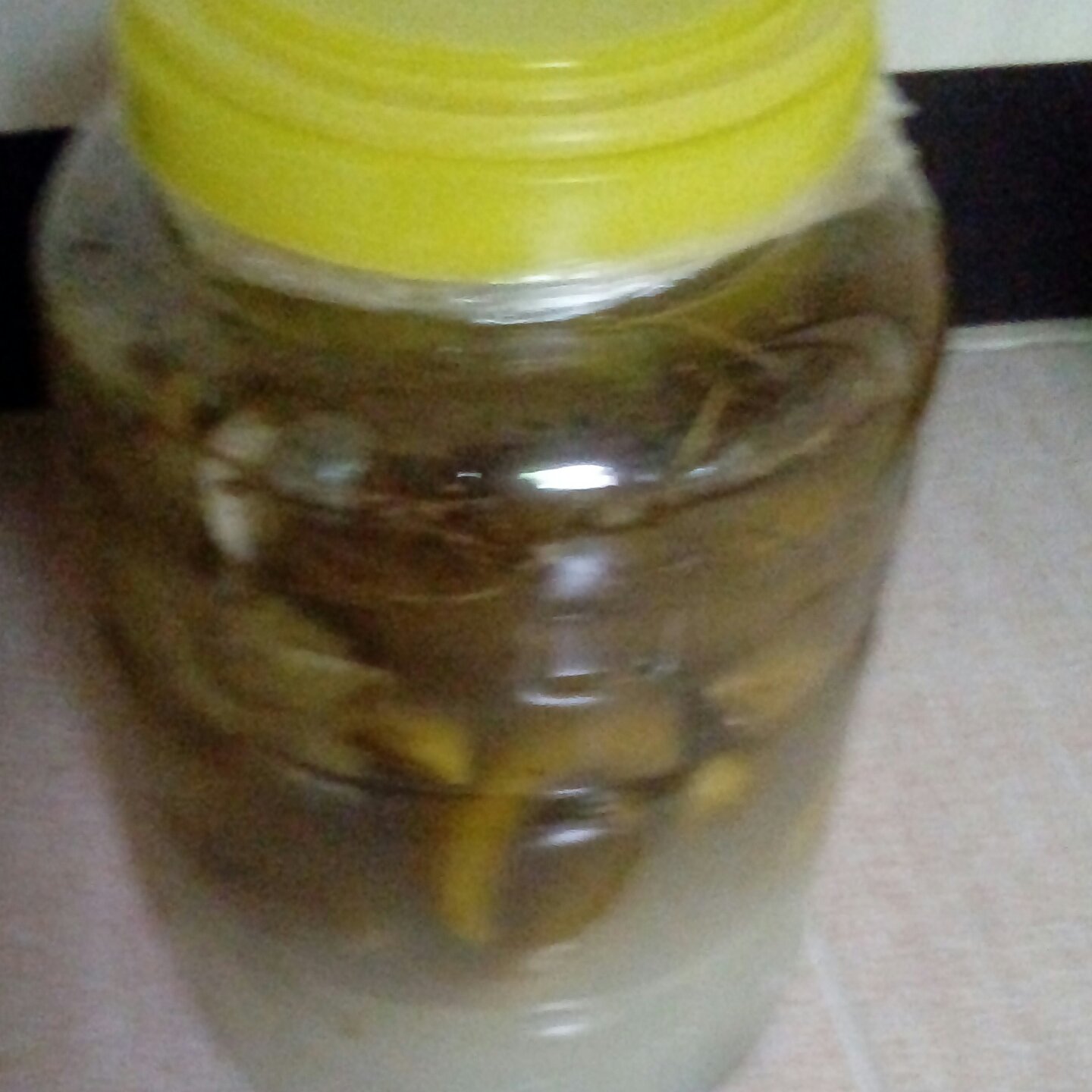 خیار شور خانگی تهیه شده با سرکه ونمک(25000) گرم خیار