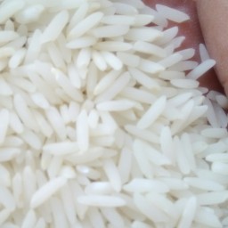 برنج طارم هاشمی (تخفیف ویژه روز مادر )یک  با تاییداستاندارد بدون سم هاشمی 10kسالم استاندارد
