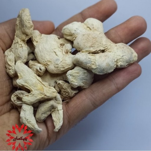 زنجبیل ناکوب(250g)