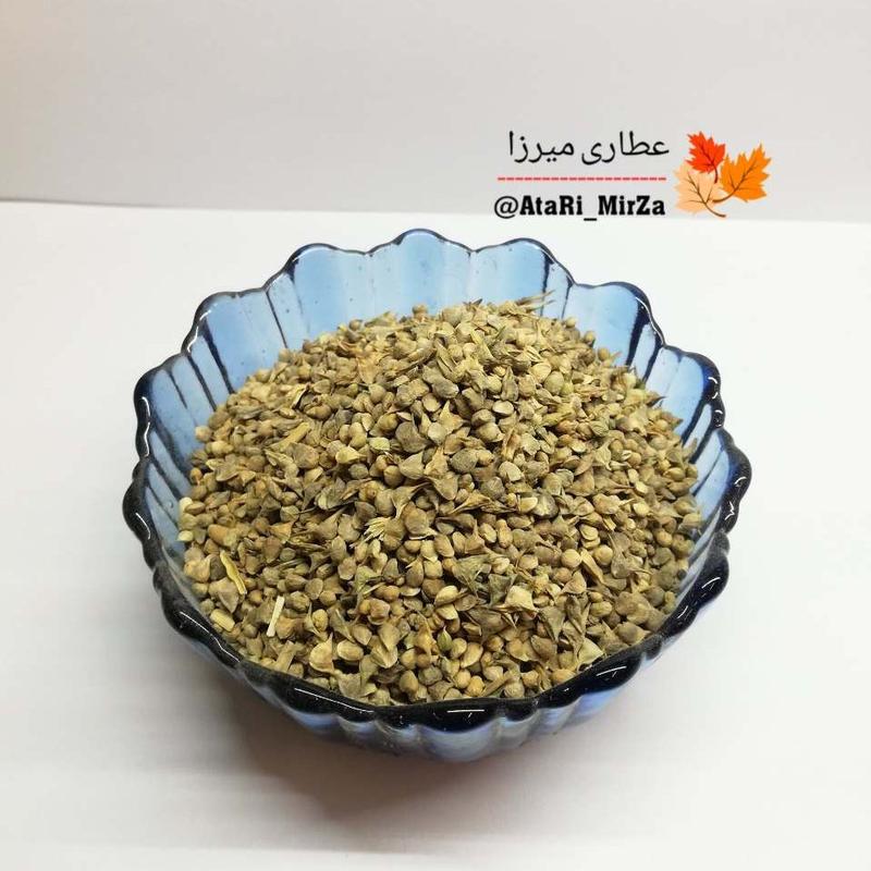 بذر سبزی اسفناج خوراکی و کاشتنی میرزا (50 گرم) 