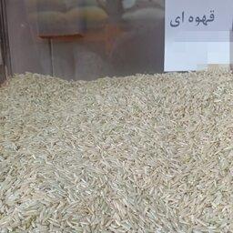 برنج سبوسدار(قهوه ای) بسته بندی 2 کیلو گرمی شالیزارصادق