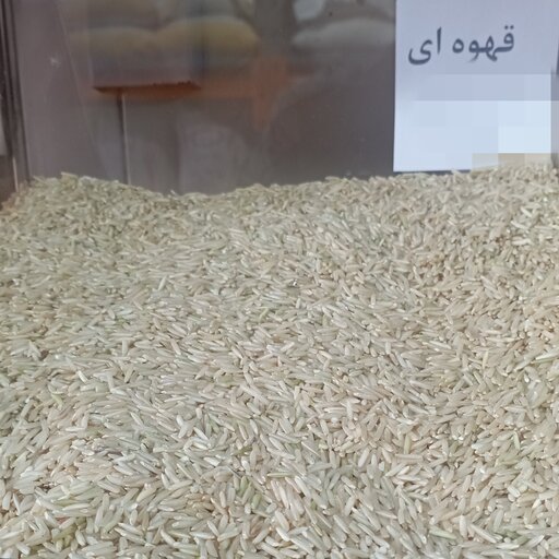 برنج سبوسدار(قهوه ای) بسته بندی 10 کیلو گرمی شالیزارصادق