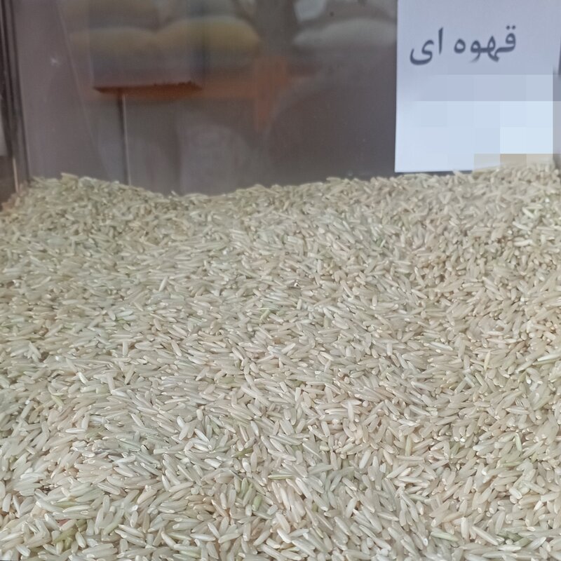برنج سبوسدار(قهوه ای) بسته بندی 10 کیلو گرمی شالیزارصادق
