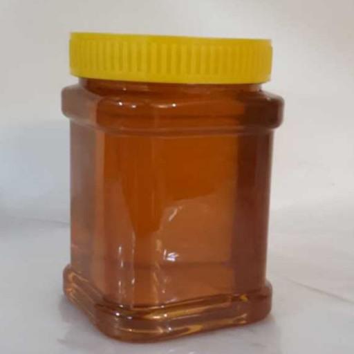عسل گون کوهستان ملایر ، یک کیلوگرم ، رس گیری نشده و بدون موم صد در صد طبیعی و کاملا ارگانیک با تضمین کیفیت