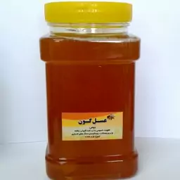 عسل طبیعی گون تضمینی  (1000 گرم)