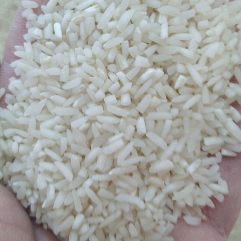 برنج فریدونکنارسرلاشه عطری کشت دوم  عطری  (10کیلوی) 