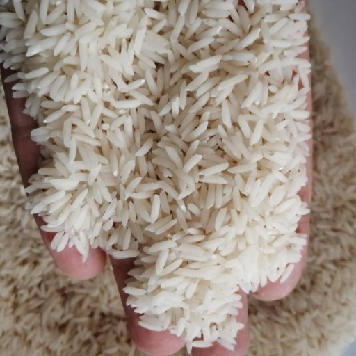 برنج طارم دم سیاه اعلا
