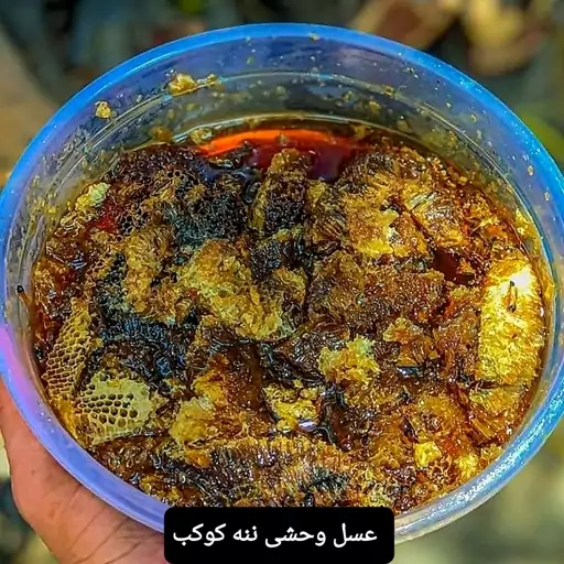 عسل وحشی کوهی (نه نه کوکب)