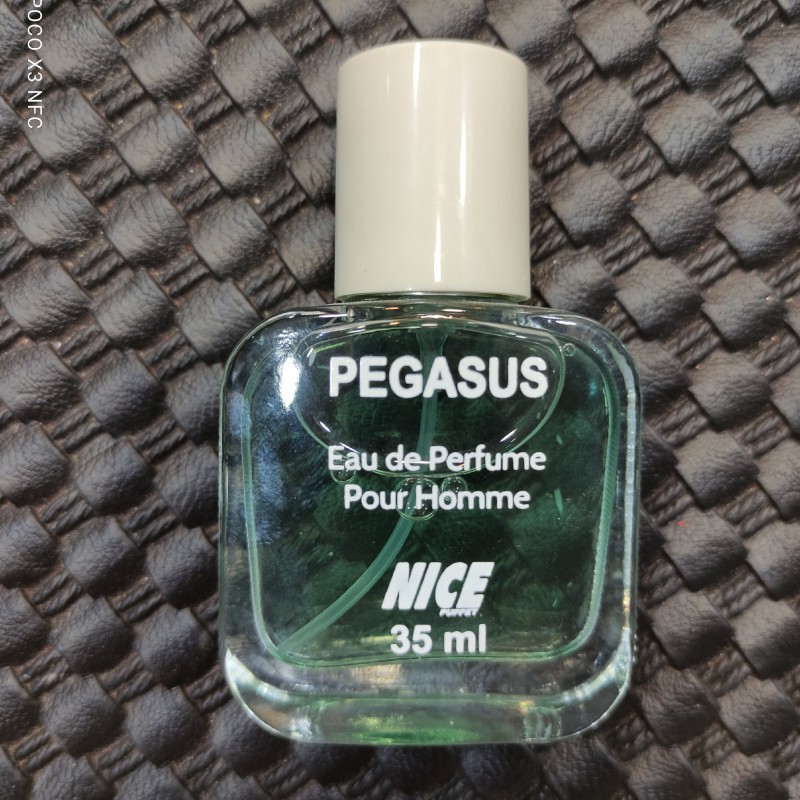 عطر جیبی مردانه نایس پاپت مدل Pegasus حجم 35 میلی لیتر

Nice Puppet Pegasus Pocket Perfume For Men 35ml