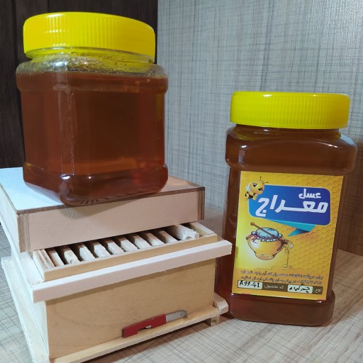 عسل چند گیاه معراج (نیم کیلویی)