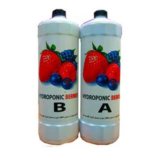 کود هیدروپونیک توت فرنگی(1لیتری)