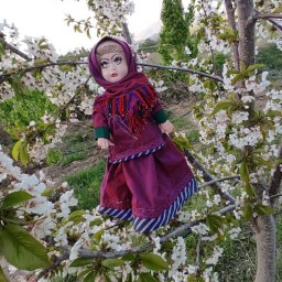 عروسک با لباس محلی مینودشت روستای سرگل اباد
