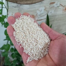 نیمدانه برنج هاشمی فوق اعلاء آستانه اشرفیه(خریدمستقیم ازشالیکار)10کیلویی