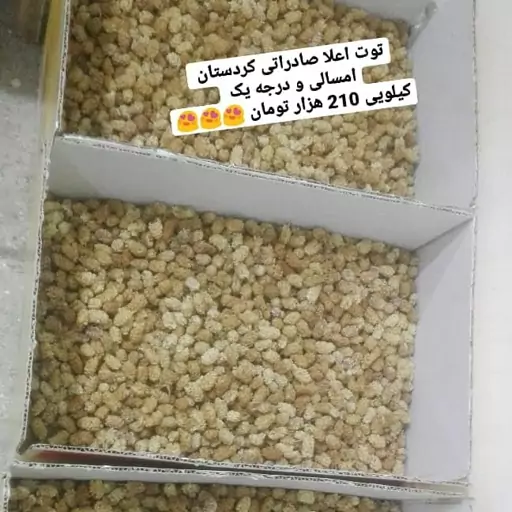 توت خشک اعلا صادراتی کردستان دونه درشت و امساله 500 گرمی و اعلا