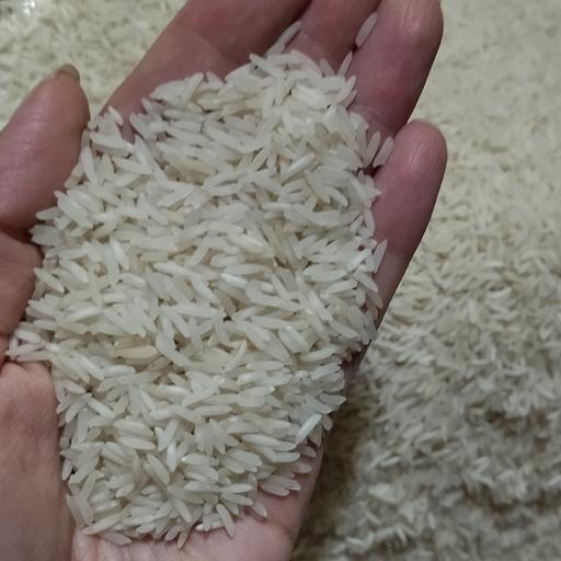 برنج فجر  کیلویی 56 تومان(50 کیلو) ارسال رایگان- برنج ایرانی خوشپخت- برنج طارم فجر