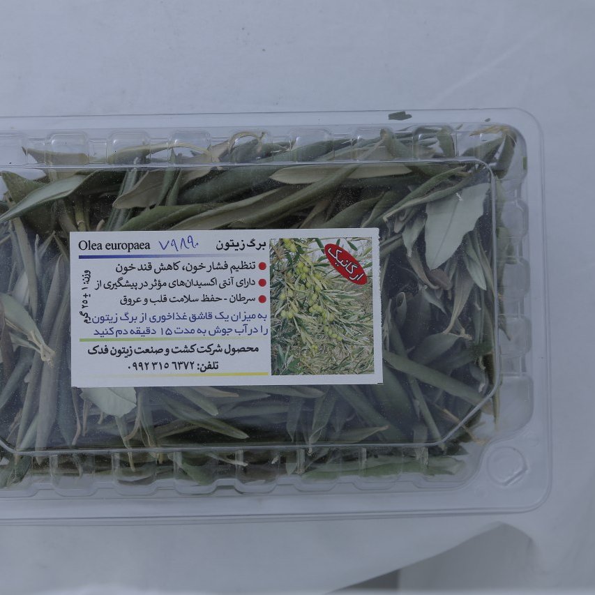 برگ درخت زیتون فدک ارگانیک مزرعه فدک سید احمد بلندنظر