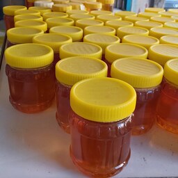 عسل طبیعی چهل گیاه 1 کیلویی ( شکر زیر 3 درصد ) فروش مستقیم از زنبوردار