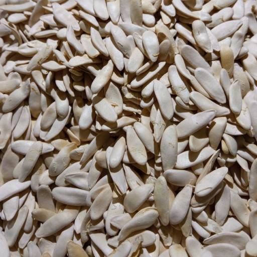 بذر خیار چنبر درجه 1 تولید 1402بسته یک کیلویی