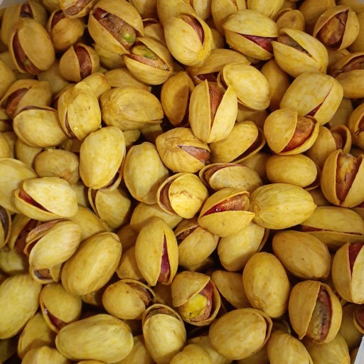 پسته نمکی امسالی