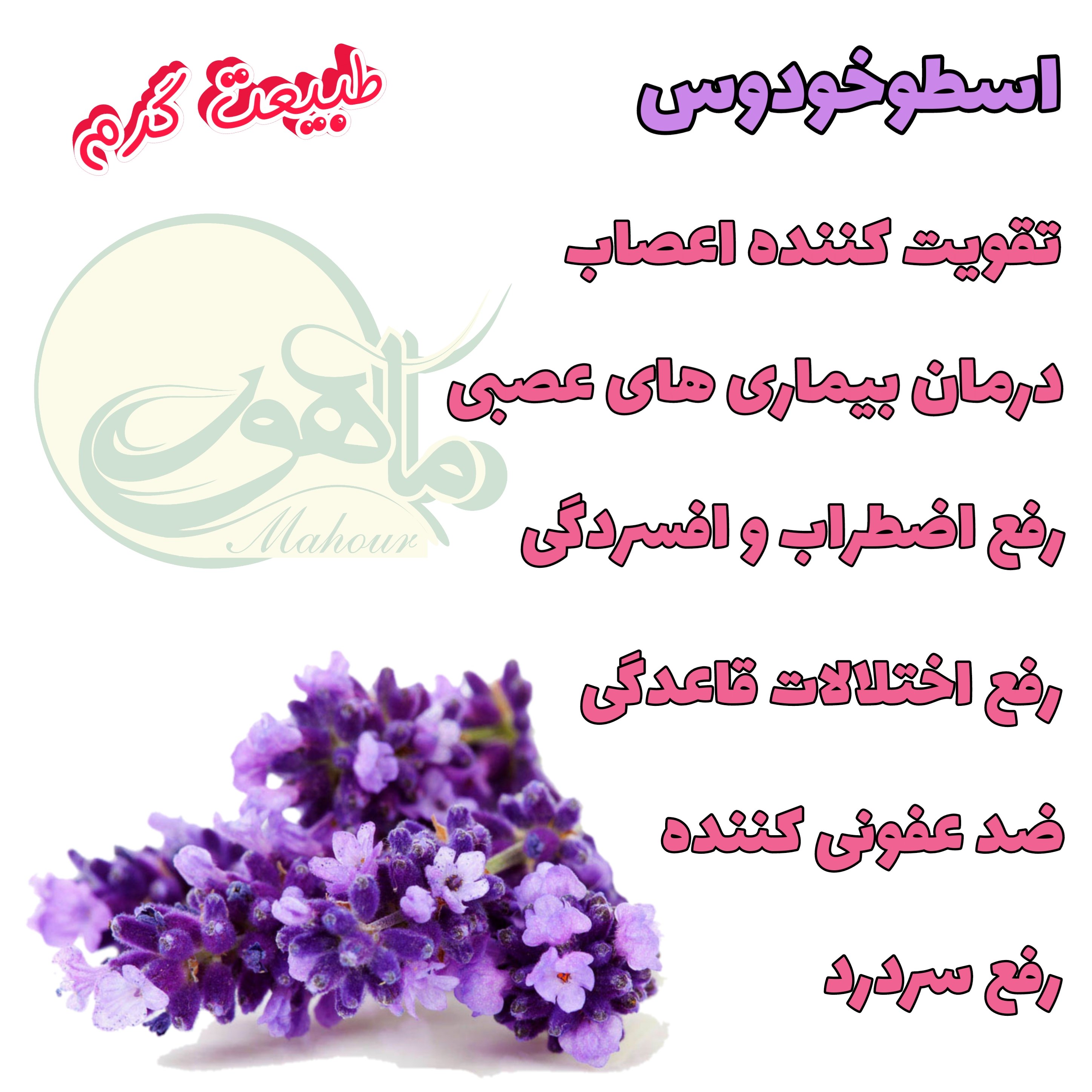 عرق اسطوخودوس طبیعی ( 1 لیتری ) عرقیات ماهور
