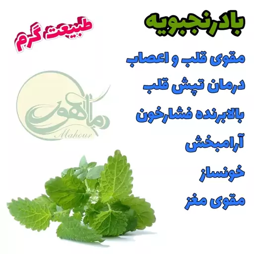 عرقیات ماهور عرق بادرنجبویه اعلاء ( 1 لیتری )