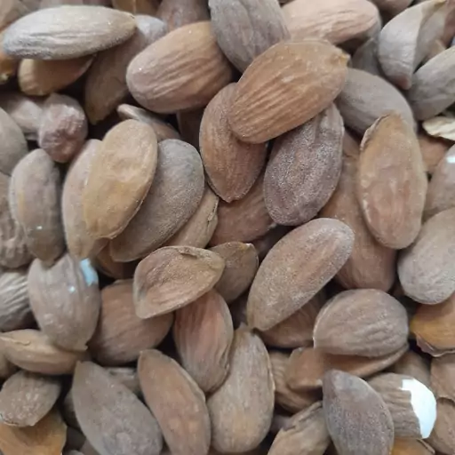 بادام درختی (روستایی )محلی عالی (یک کیلو)مغزه سفیدی دارد