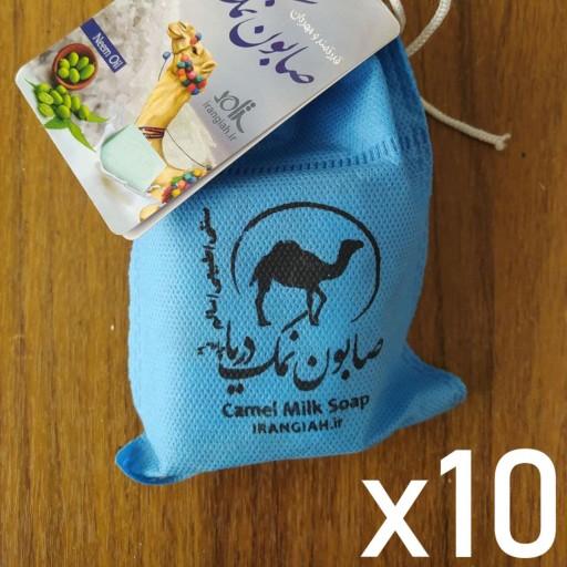 صابون طبیعی نمک دریا ایران گیاه وزن 80 گرم (کارتن 10 عددی)