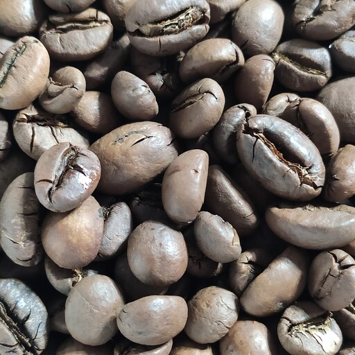 قهوه اسپرسو 100درصد روبوستا 500 گرم میکس فول کافئین روبستا مناسب اسپرسو ساز برقی موکاپات قهوه فرانسه قهوه دمی قهوه ترک