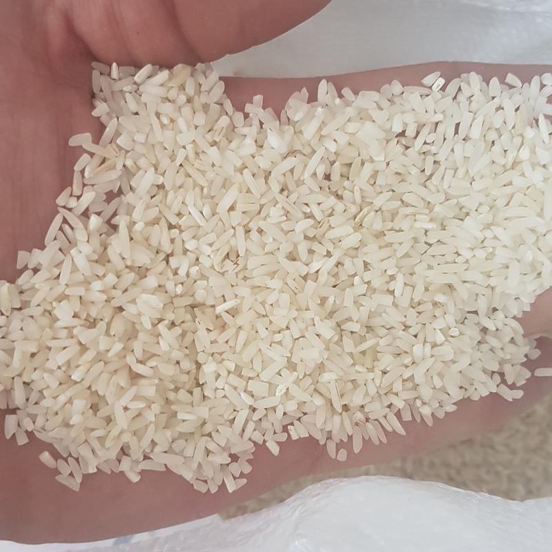 برنج سرلاشه طارم محلی فریدونکنار  امساله ( 20 کیلویی ) ارسال رایگان