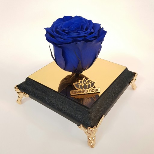 گل رز جاودان آبی کاربنی با باکس پایه مبلی مشکی