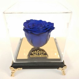 گل رز جاودان آبی کاربنی با باکس پایه مبلی مشکی