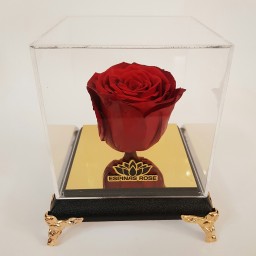 گل رز جاودان سرخ ( قرمز ) همراه باکس و کاور ولنتاین
