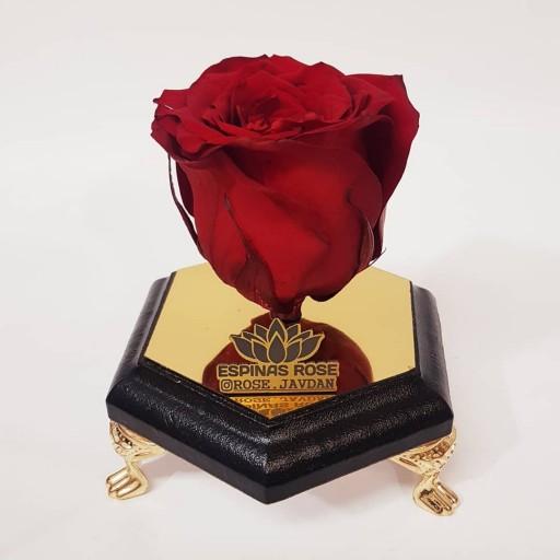 گل رز جاودان قرمز با باکس شش ضلعی