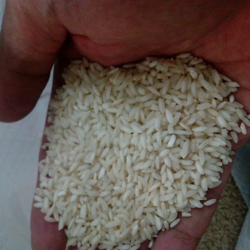 برنج عنبربو فدک