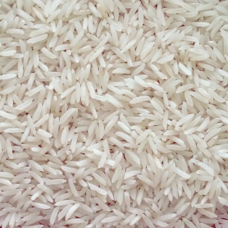 برنج طارم شمال