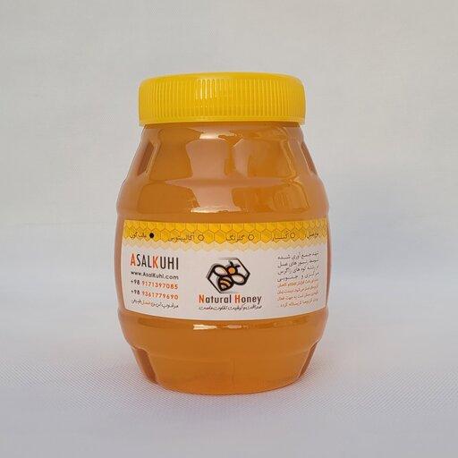 عسل گون اصل- 1000 گرم - تازه برداشت - عسل گون کوهی ارگانیک و خام 