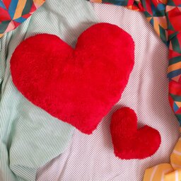 مجموعه دو عددی کوسن قلب  پولیش عروسکی  قاصدک در رنگبندی و دو سایز مختلف