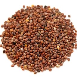 بذر تربچه ایرانی(75 گرم)