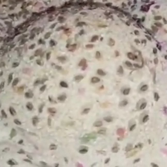 نان خانگی پرکنجد و خوش عطر و طعم(بهشت اصفهان)