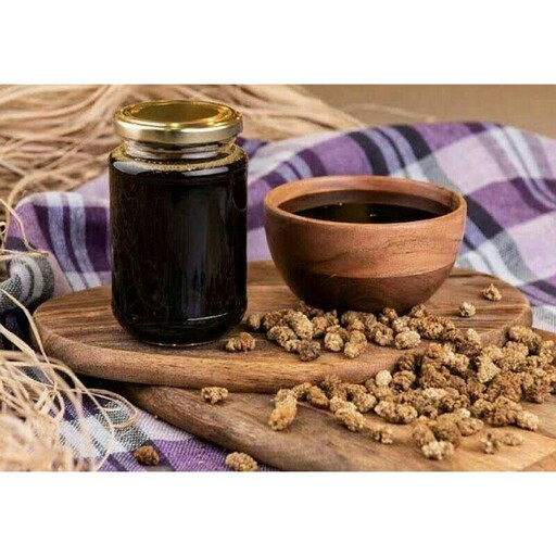 شیره توت ممتاز  یک کیلویی آنلاین شاپ ارزان فروش در مشهد