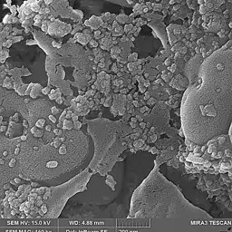 نانو ذرات اکسید کلسیم cao 5gram با راهنمای استفاده و مشخصات علمی