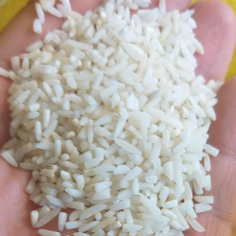 حشره کش برنج
