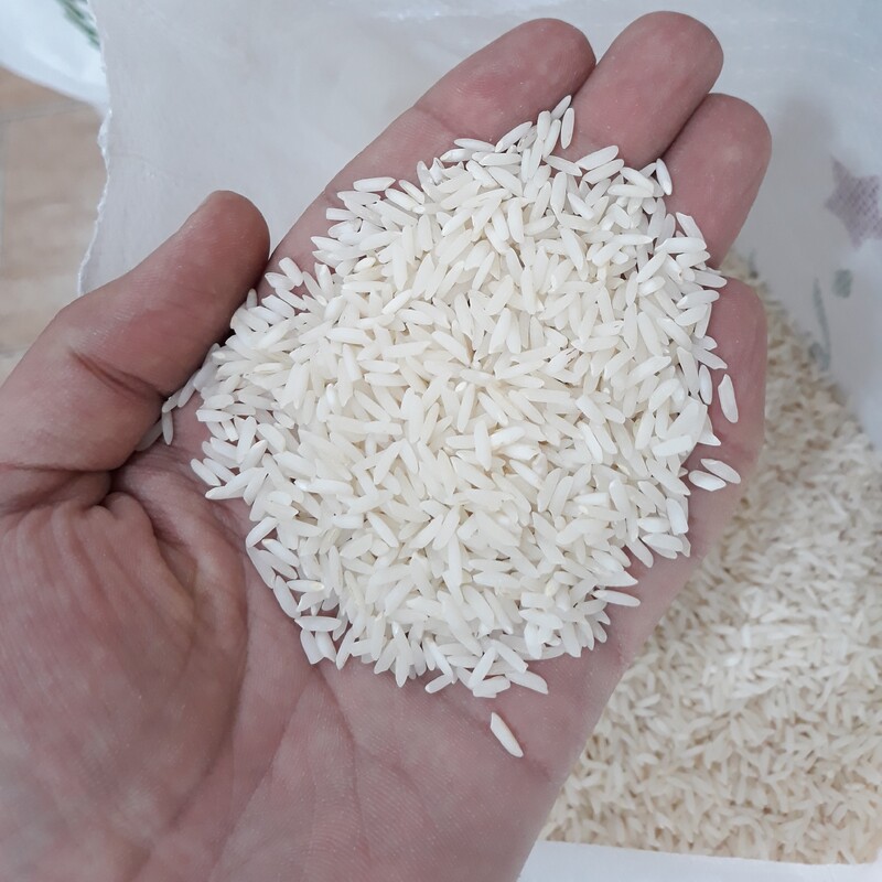 برنج هاشمی درجه یک محصول امسال شالیزار های گیلان 10 کیلویی ارسال رایگان