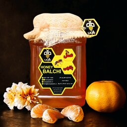 عسل طبیعی بهارنارنج (3 کیلوگرم) (خرید از زنبوردار نمونه)