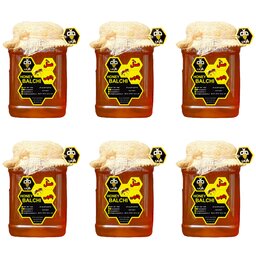 عسل طبیعی چهل گیاه بالچی (1 کیلویی با بسته 6 عددی) (خرید از زنبوردار نمونه و ارسال رایگان)